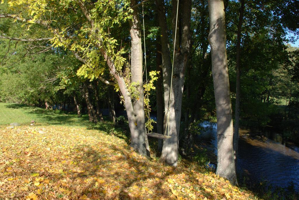 Natura Apartamenty Swaderki Eksteriør billede