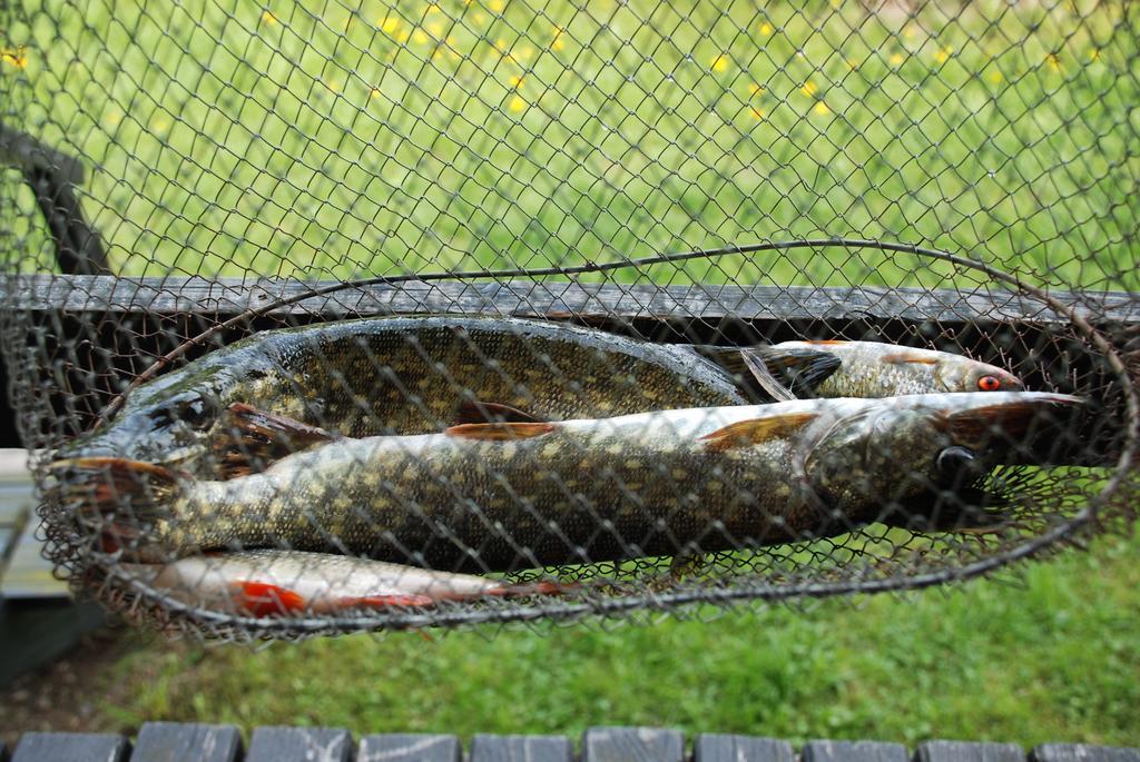 Natura Apartamenty Swaderki Eksteriør billede